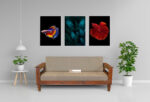 Wooden Sofa Set Rexolin - Image 2